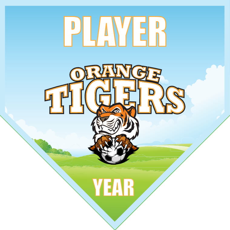 Orange Tigers - Homeplate Soccer Pennant