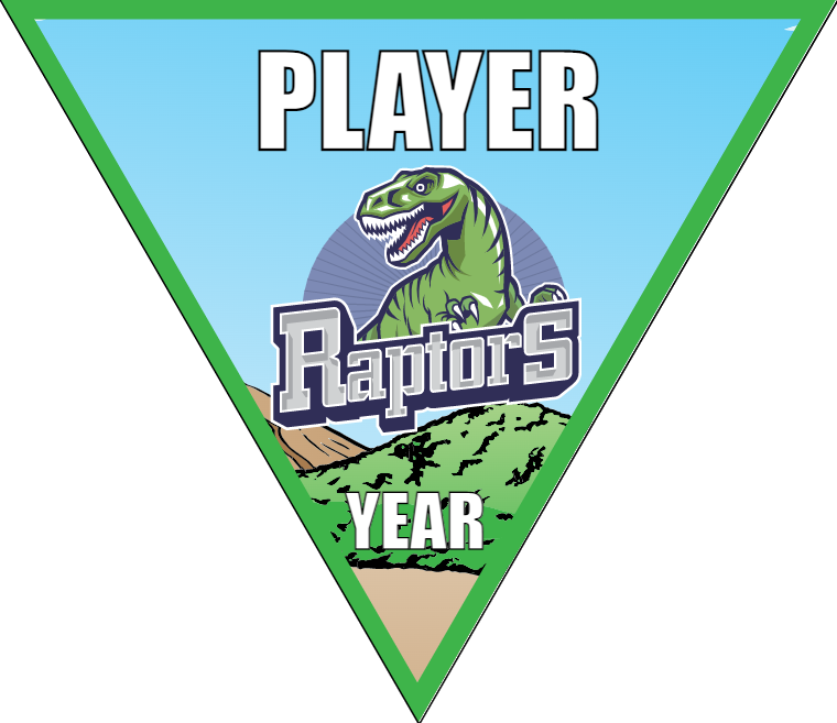 Raptors - Triangle Soccer Banners