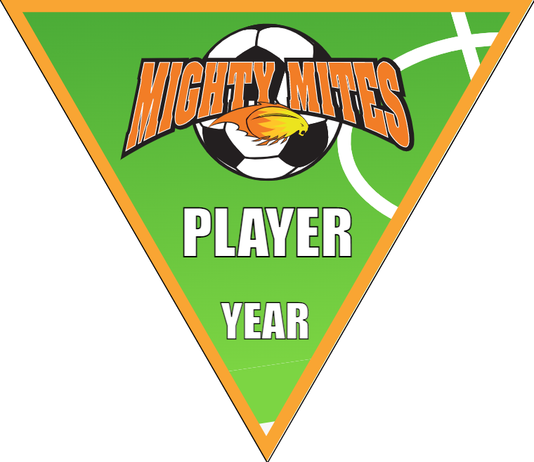 Mighty Mites - Triangle Soccer Banners