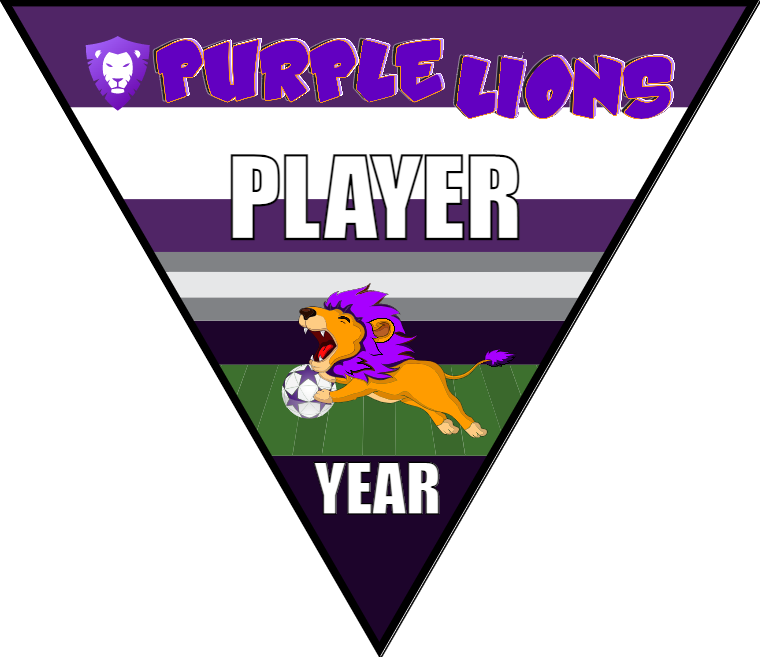 Purple Lions - Triangle Soccer Banners