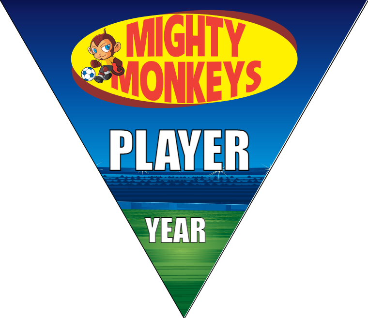 Might Monkeys - Triangle Soccer Banners
