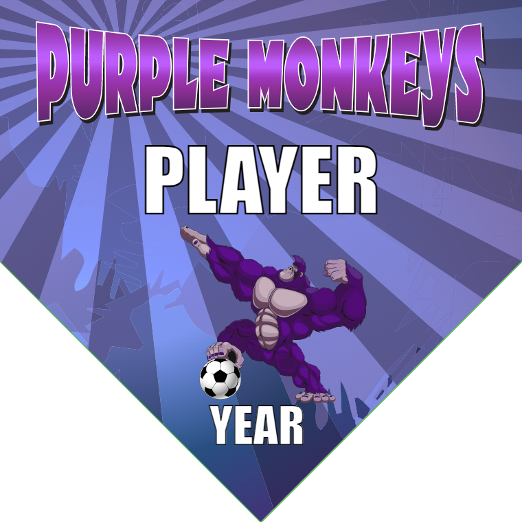 Purple Monkeys - Homeplate Soccer Pennant