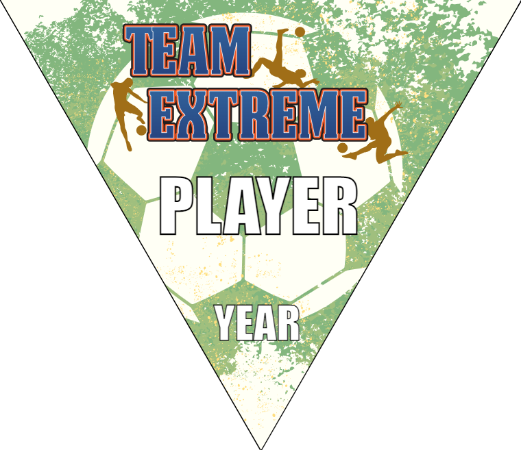 Team Extreme - Triangle Soccer Banners
