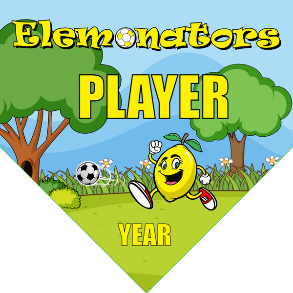 Elemonators - Homeplate Soccer Pennant