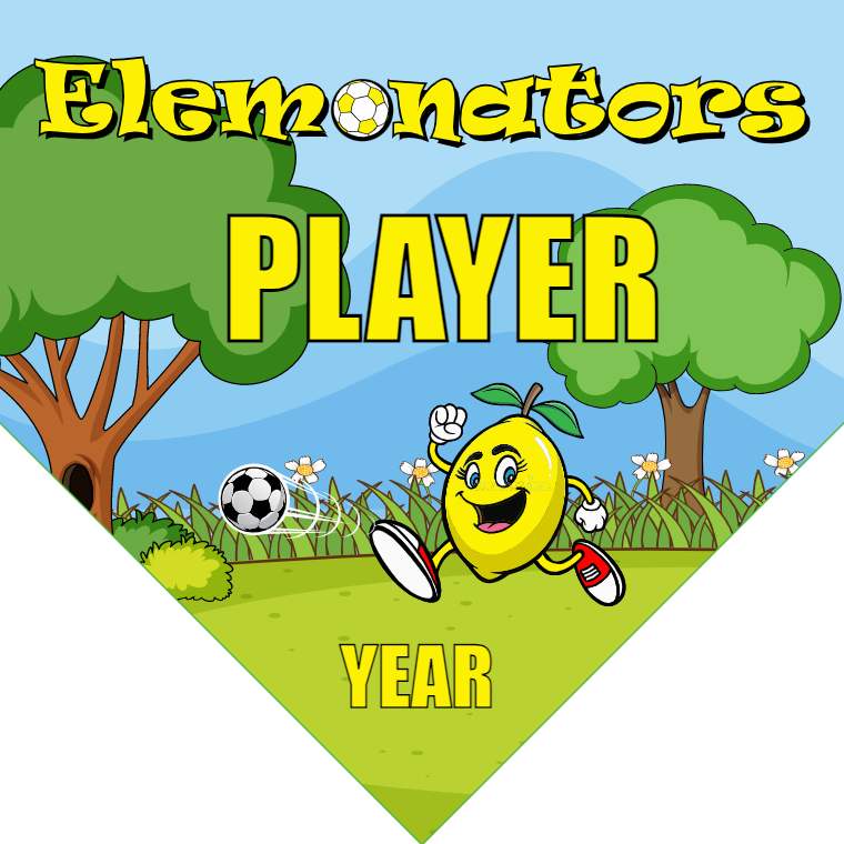 Elemonators - Homeplate Soccer Pennant