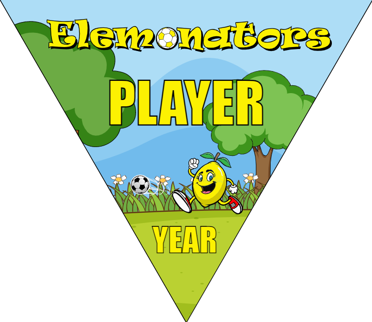 Elemonators - Triangle Soccer Banners