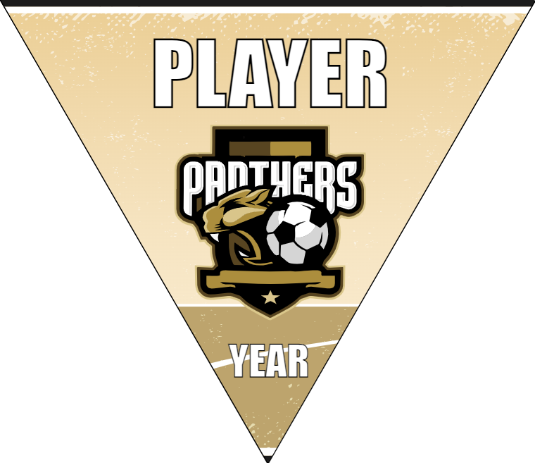 Panthers - Triangle Soccer Banners
