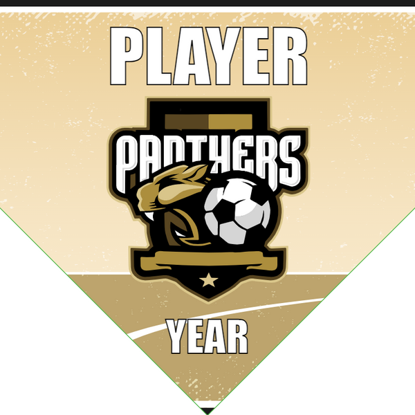 Panthers - Homeplate Soccer Pennant