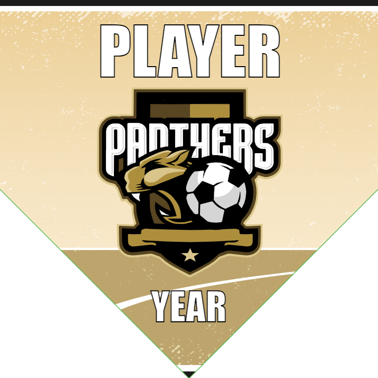Panthers - Homeplate Soccer Pennant