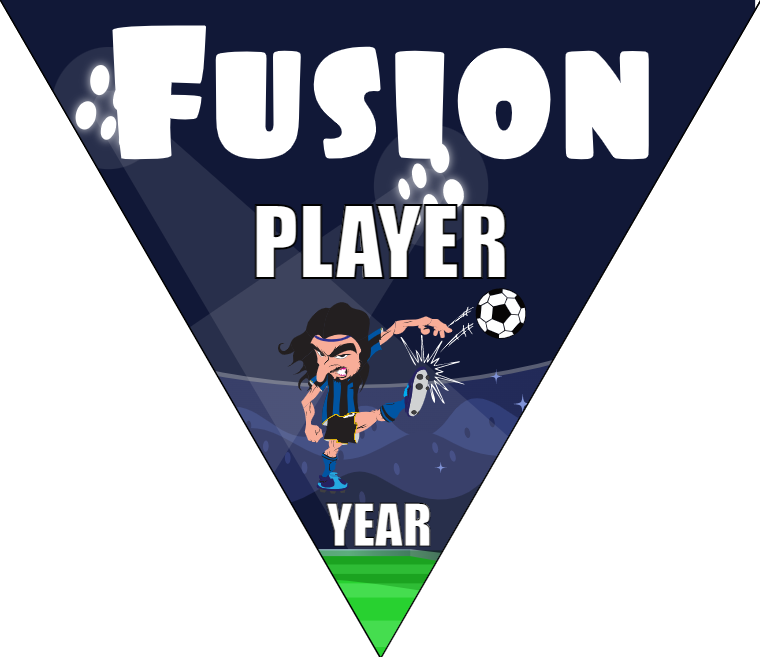 Fusion - Triangle Soccer Banners