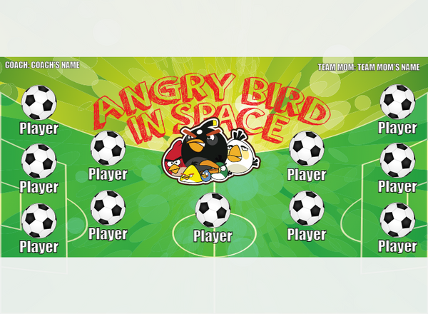 Angry Birds IN Space - Soccer - Pole Pocket Banner