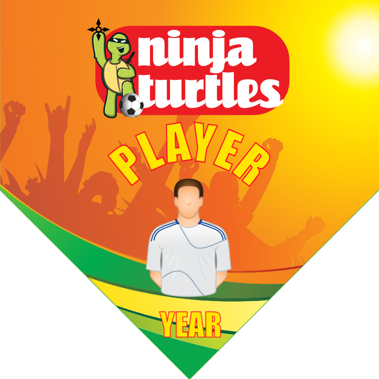 Ninja Turtles 2 - Homeplate Soccer Pennant
