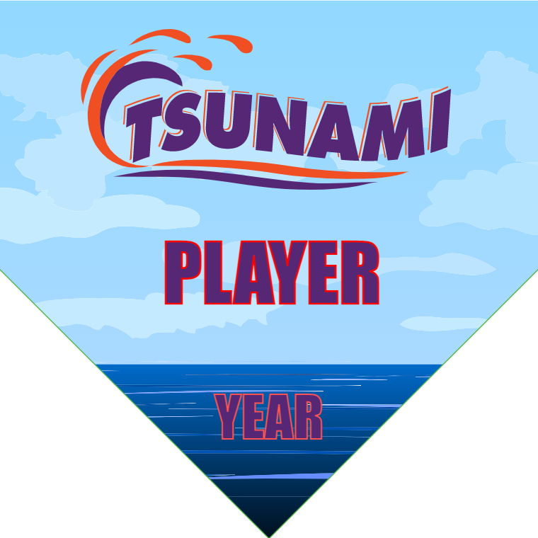 Tsunami - Homeplate Soccer Pennant