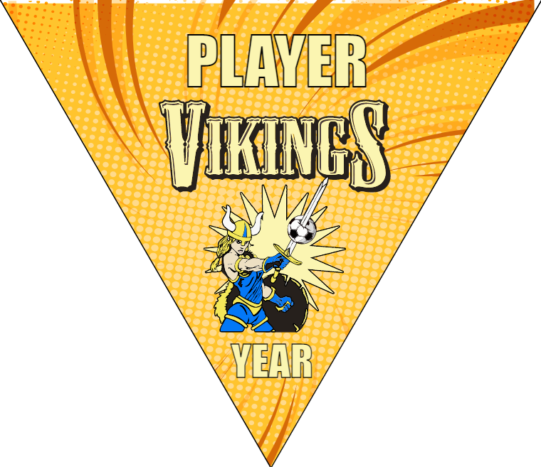 Vikings - Triangle Soccer Banners