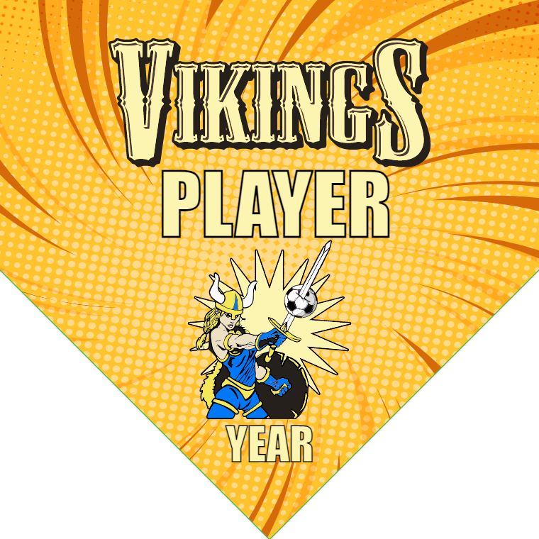 Vikings - Homeplate Soccer Pennant