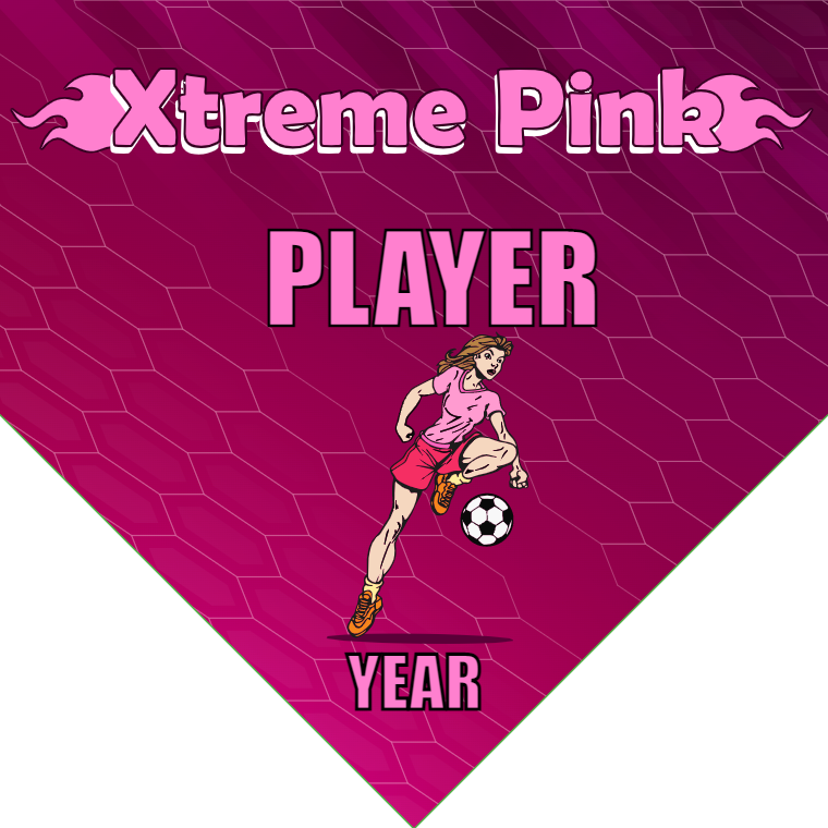 Xtreme Pink - Homeplate Soccer Pennant
