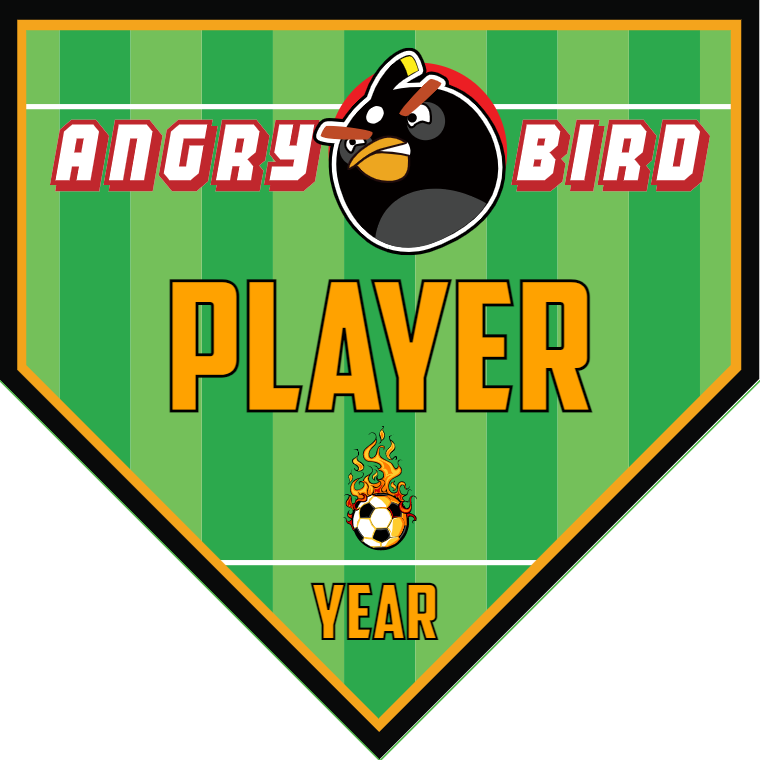 Angry Bird - Homeplate Soccer Pennant