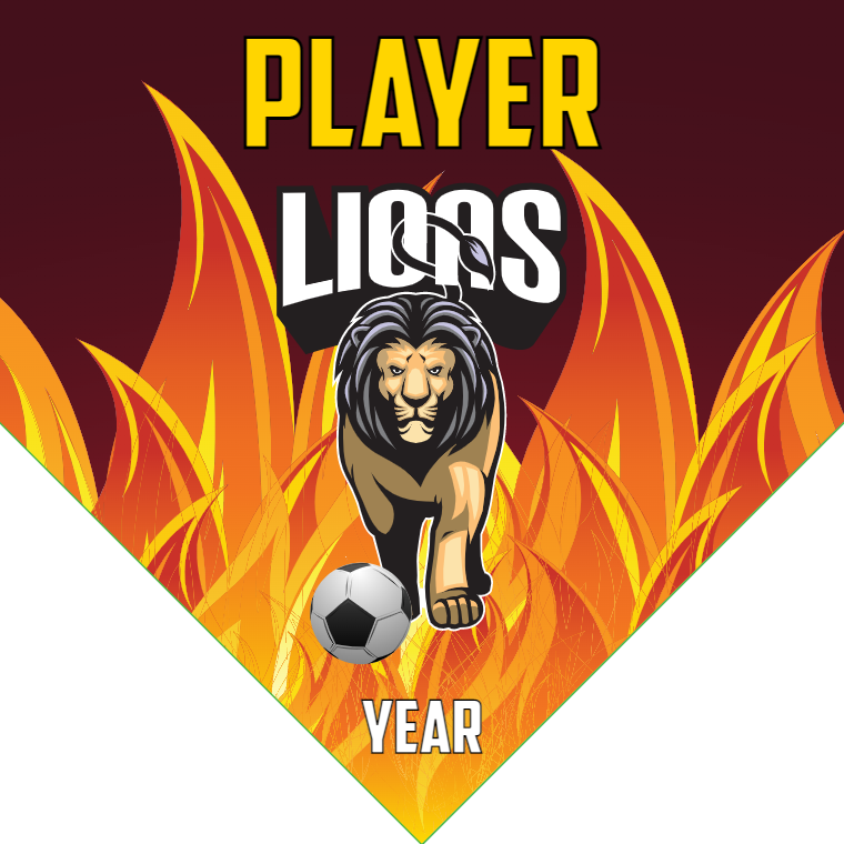 Lions 3 - Homeplate Soccer Pennant