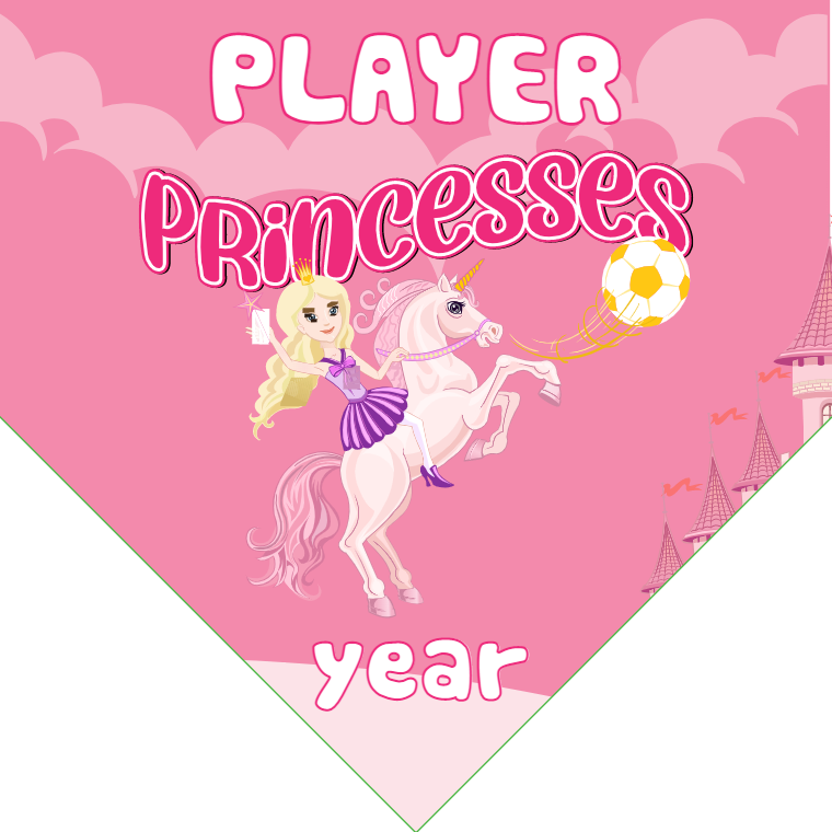 Princesses - Homeplate Soccer Pennant