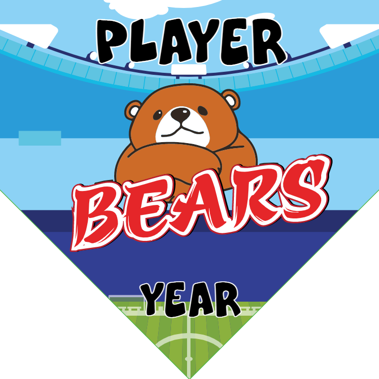 Bears - Homeplate Soccer Pennant