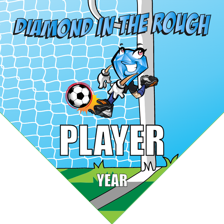 Diamond In The Rough - Homeplate Soccer Pennant
