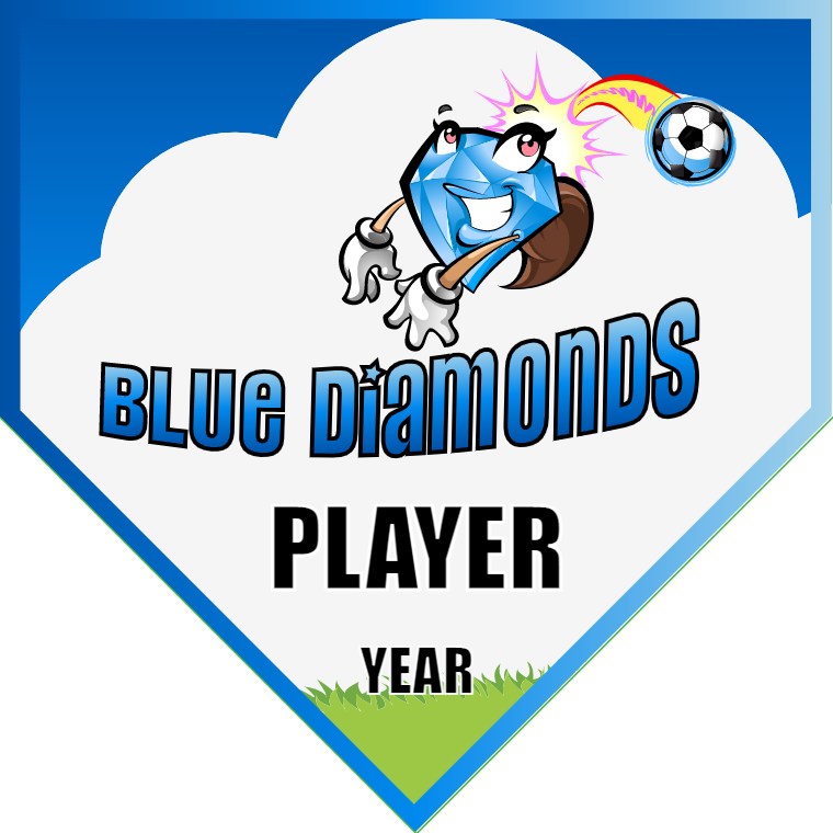 Blue Diamonds - Homeplate Soccer Pennant