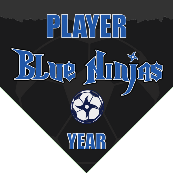 Blue Ninjas - Homeplate Soccer Pennant