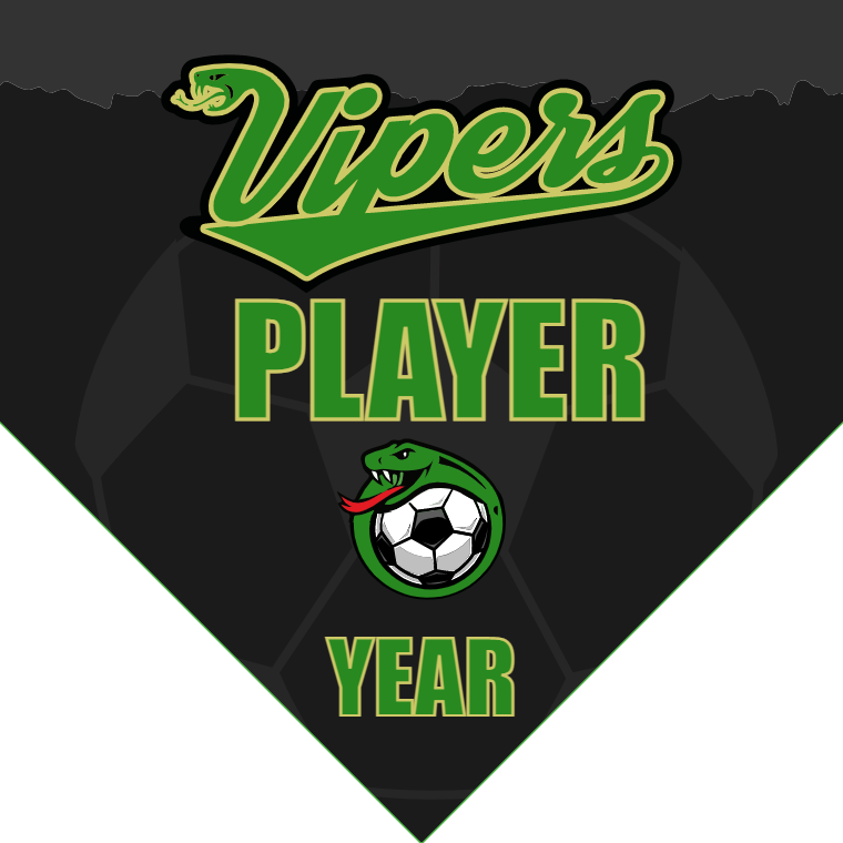 Vipers - Homeplate Soccer Pennant