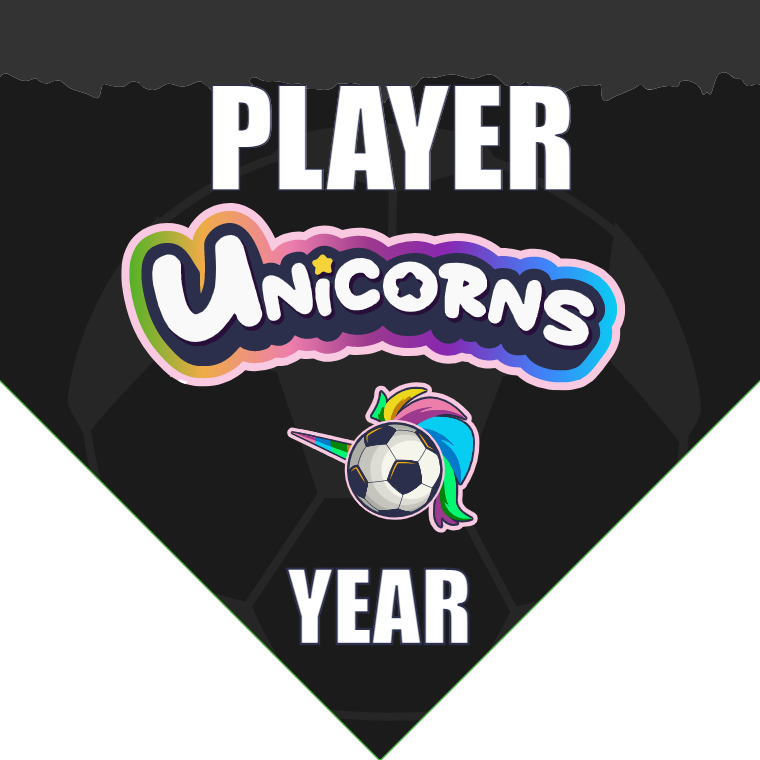 Unicorns 2 - Homeplate Soccer Pennant