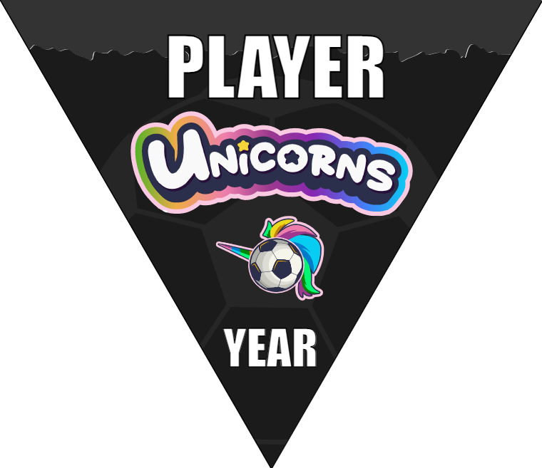 Unicorns - Triangle Soccer Banners