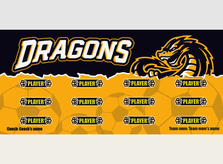 Dragons 1 - Soccer - Pole Pocket Banner