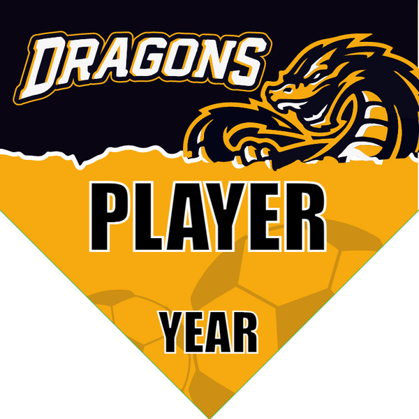 Dragons - Homeplate Soccer Pennant