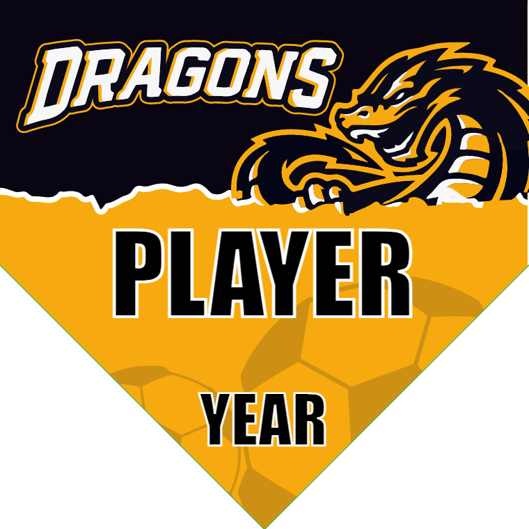 Dragons - Homeplate Soccer Pennant