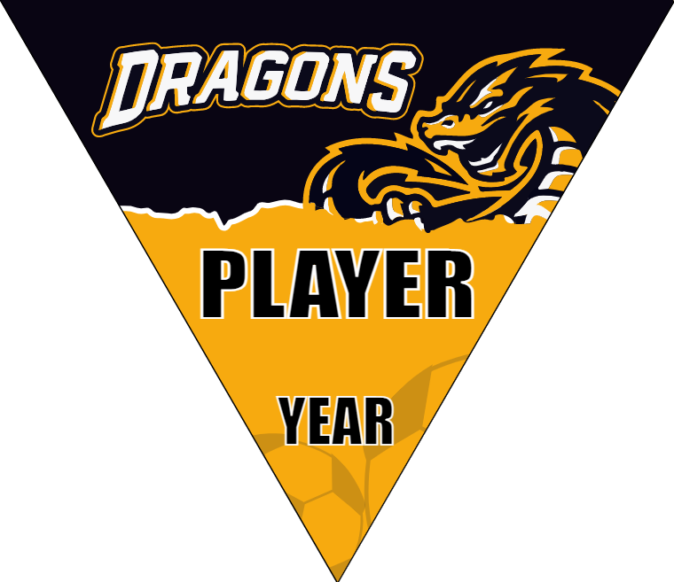 Dragons - Triangle Soccer Banners