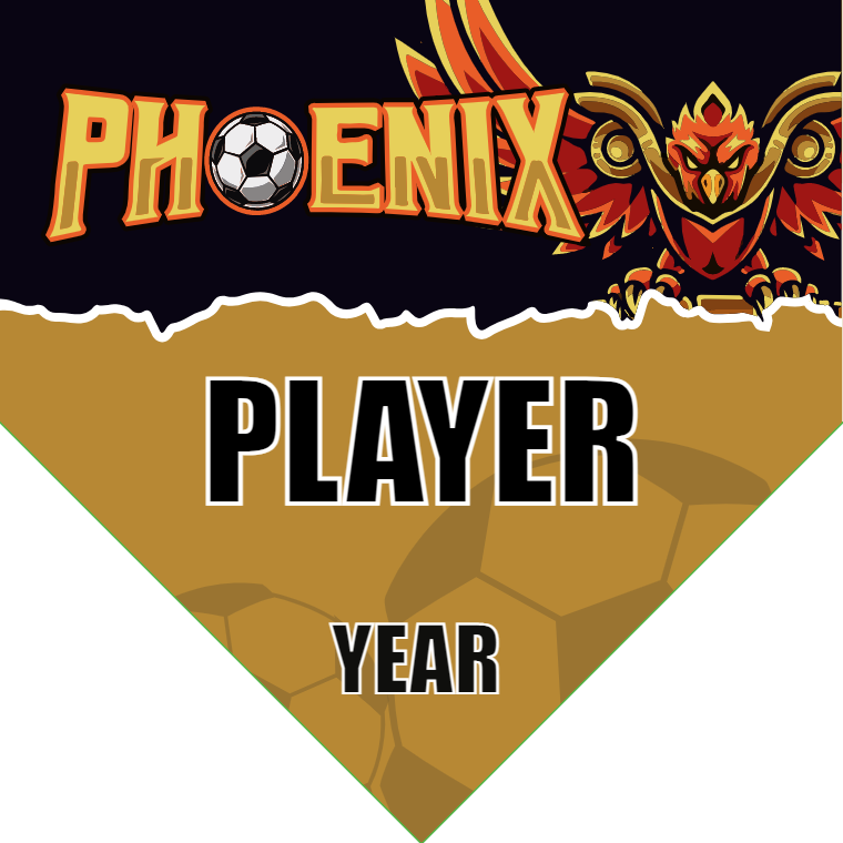 Phoenix - Homeplate Soccer Pennant