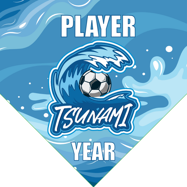 Tsunami 2 - Homeplate Soccer Pennant