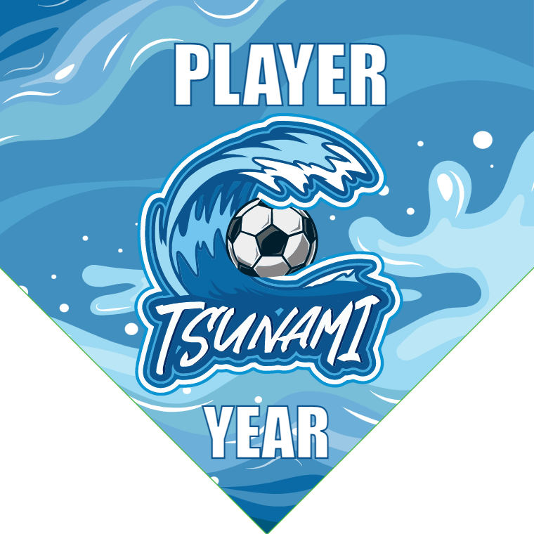 Tsunami 2 - Homeplate Soccer Pennant
