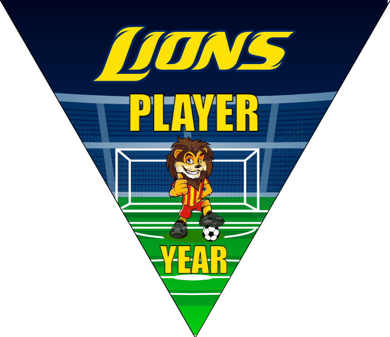 Lions 3 - Triangle Soccer Banners