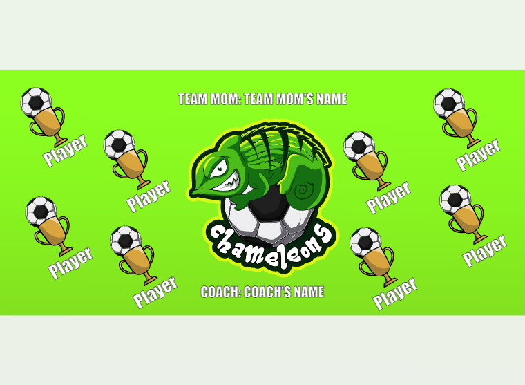 Chameleons - Soccer - Pole Pocket Banner