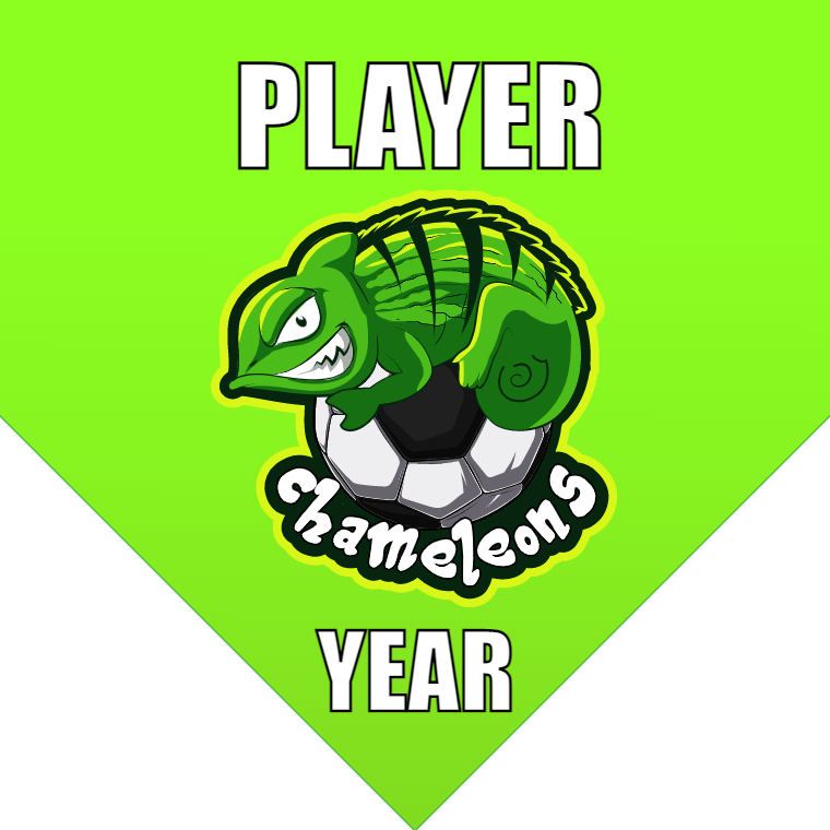 Chameleons - Homeplate Soccer Pennant
