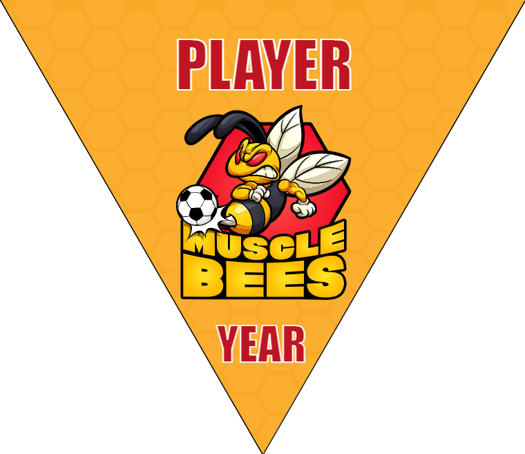 Muscle Bees - Triangle Soccer Banners