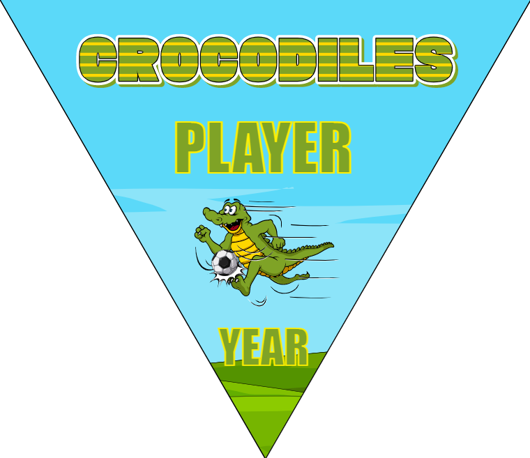 Crocodiles - Triangle Soccer Banners