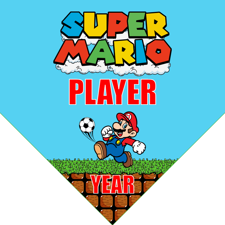 Super Mario - Homeplate Soccer Pennant
