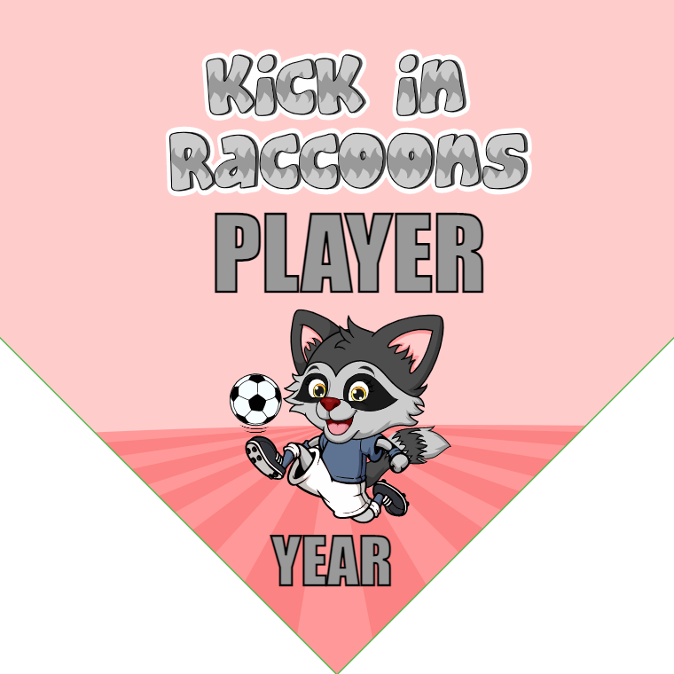Kick In Raccoons - Homeplate Soccer Pennant