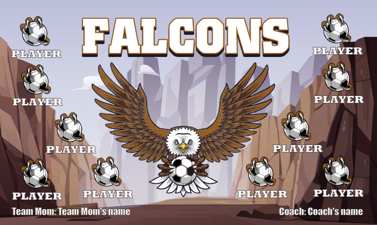 Falcons - Soccer Banner