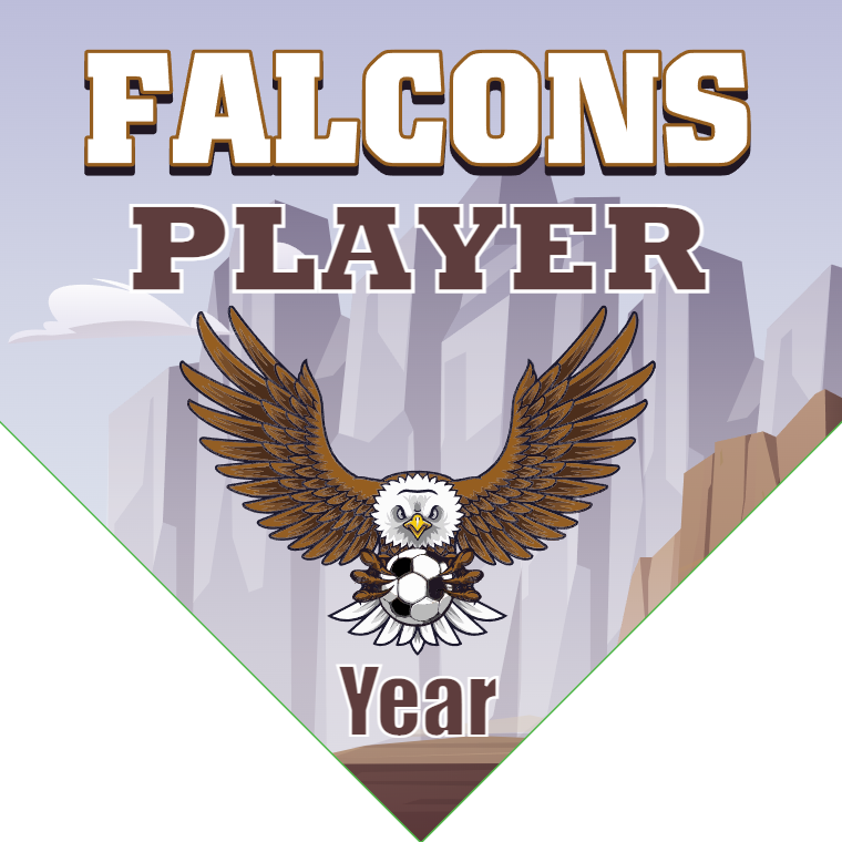Falcons - Homeplate Soccer Pennant