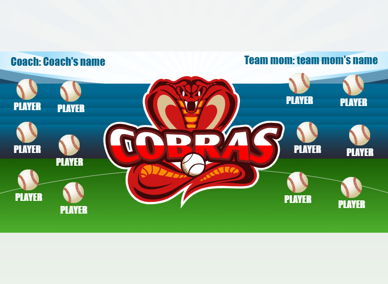 Cobras - Softball - Pole Pocket Banner