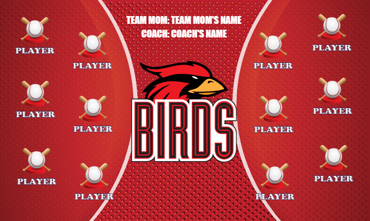 Birds - Softball Banner