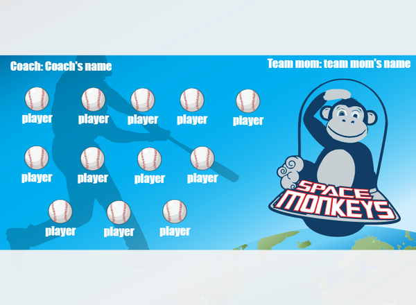 SpaceMonkey - Softball - Pole Pocket Banner