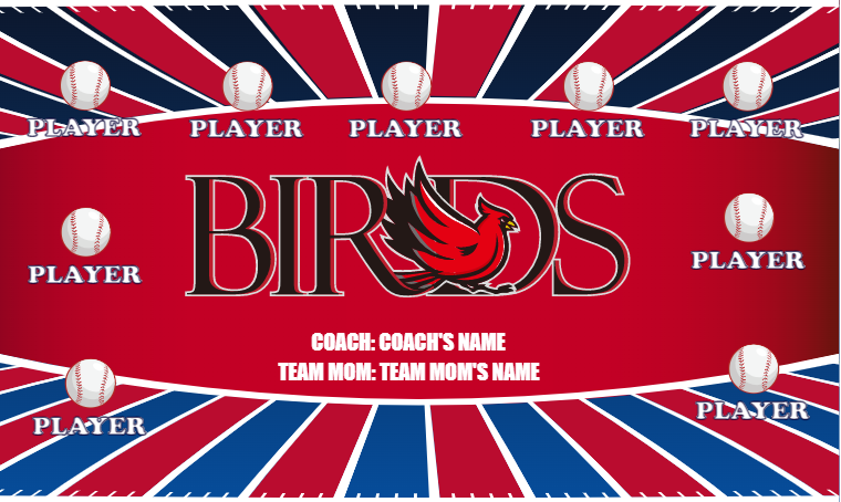 Birds 5 - Softball Banner